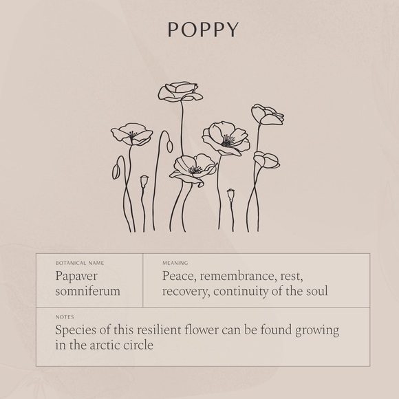 Poppy August Birth Flower Dainty Charm Necklace - Picture 9 of 16